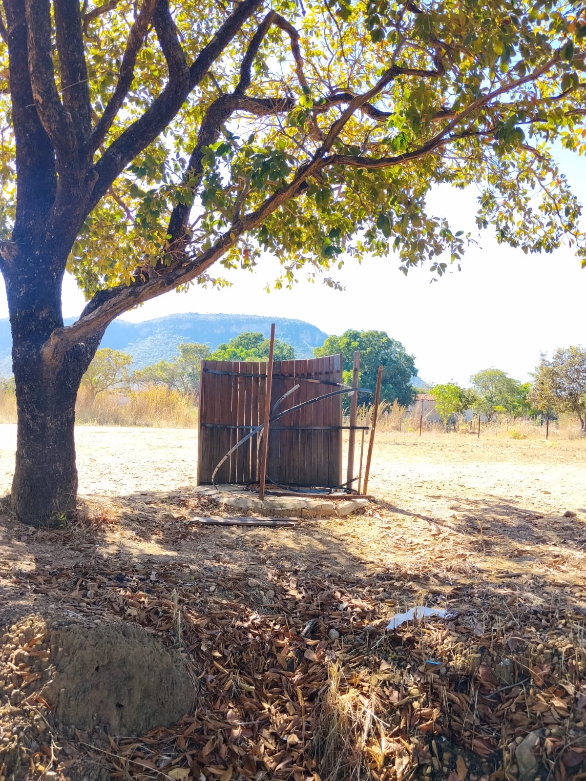Foto 1 da matéria